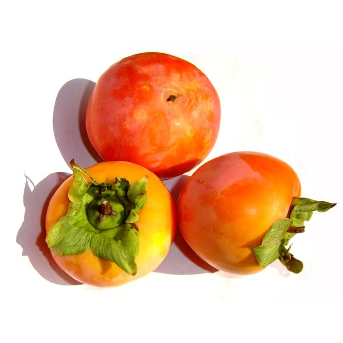 Sweet, & Juicy, Wholesale Persimmon Fruits- Fresh Sharon Fruits
